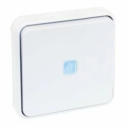 Commande Bouton Poussoir Avec Voyant Blanc