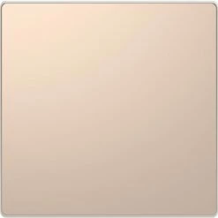 Schneider Electric Enjoliveur Pour Commande Simple Sans Marquage D-Life MTN3300-6051 Champagne