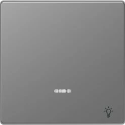 Schneider Electric Enjoliveur Pour Commande Simple Voyant Et Picto Lampe D-Life MTN3322-6036 Acier