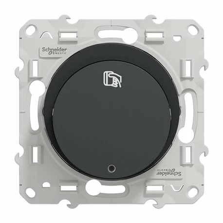 Interrupteur à Carte Spécial Hôtel 10A Odace S540283 Anthracite 8 Interrupteur à Carte Spécial Hôtel 10A Odace S540283 Anthracite – Image 6