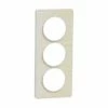 Schneider Electric Plaque De Finition Odace Touch S520816M Blanc Et Bois Nordique 3 Postes Verticaux 1 Schneider Electric Plaque De Finition Odace Touch S520816M Blanc Et Bois Nordique 3 Postes Verticaux -Schneider Electric Soldes plaque de finition odace touch s520816m blanc et bois nordique 3 postes verticaux