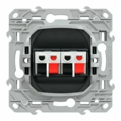 Prise Haut Parleur 2 Sorties Ovalis S340488 Anthracite 2 Sorties 11 Prise Haut Parleur 2 Sorties Ovalis S340488 Anthracite 2 Sorties -Schneider Electric Soldes prise haut parleur 2 sorties ovalis s340488 anthracite 2 sorties 1