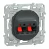 Prise Haut Parleur 2 Sorties Ovalis S340488 Anthracite 2 Sorties 2 Prise Haut Parleur 2 Sorties Ovalis S340488 Anthracite 2 Sorties -Schneider Electric Soldes prise haut parleur 2 sorties ovalis s340488 anthracite 2 sorties