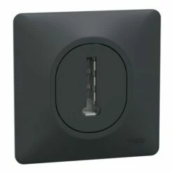 Schneider Electric Prise Téléphone En T Avec Plaque Ovalis S340496 8 Contacts Anthracite