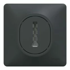 Schneider Electric Prise Téléphone En T Avec Plaque Ovalis S340496 8 Contacts Anthracite 13 Schneider Electric Prise Téléphone En T Avec Plaque Ovalis S340496 8 Contacts Anthracite -Schneider Electric Soldes prise telephone en t avec plaque ovalis s340496 8 contacts anthracite 3