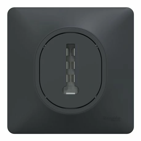 Schneider Electric Prise Téléphone En T Avec Plaque Ovalis S340496 8 Contacts Anthracite 6 Schneider Electric Prise Téléphone En T Avec Plaque Ovalis S340496 8 Contacts Anthracite – Image 4