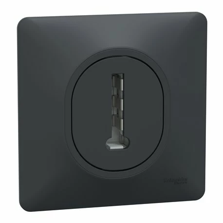 Schneider Electric Prise Téléphone En T Avec Plaque Ovalis S340496 8 Contacts Anthracite 3 Schneider Electric Prise Téléphone En T Avec Plaque Ovalis S340496 8 Contacts Anthracite
