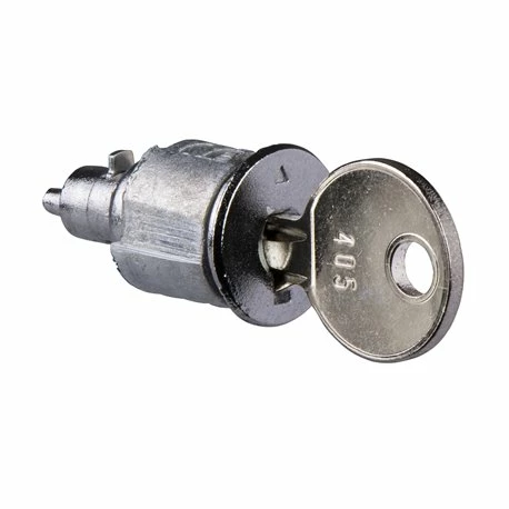 Schneider Electric Serrure à Clef PrismaSeT LVSXS2 3 Schneider Electric Serrure à Clef PrismaSeT LVSXS2